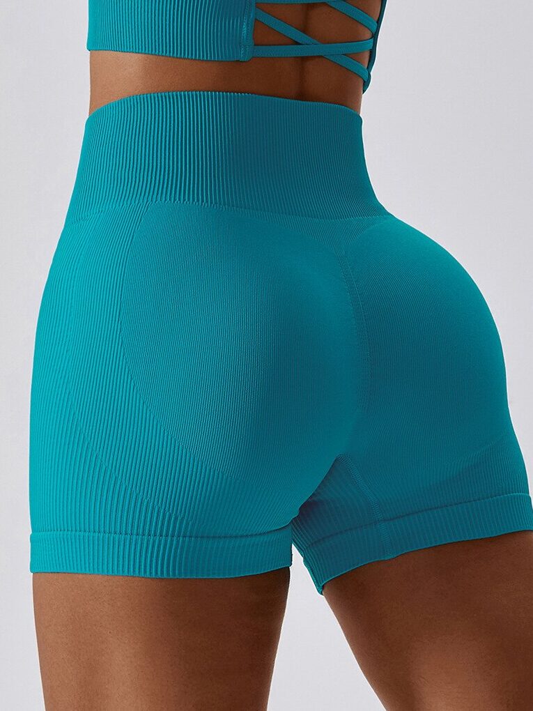 Ribbed Seamless High-Rise Gym Shorts - Active Wear for Women