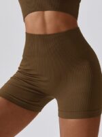 Ribbed, Seamless, High-Waisted, Sporty, Sexy, Stretchy, Comfort Shorts